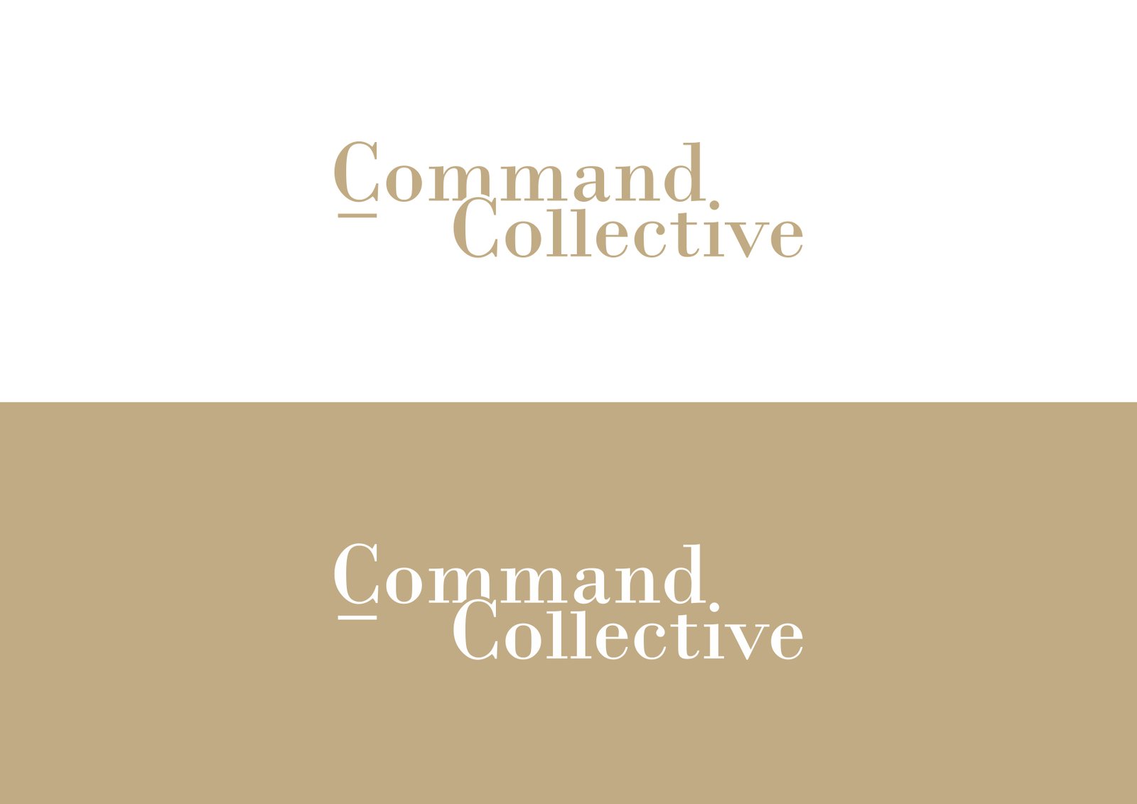 Visual Identity
